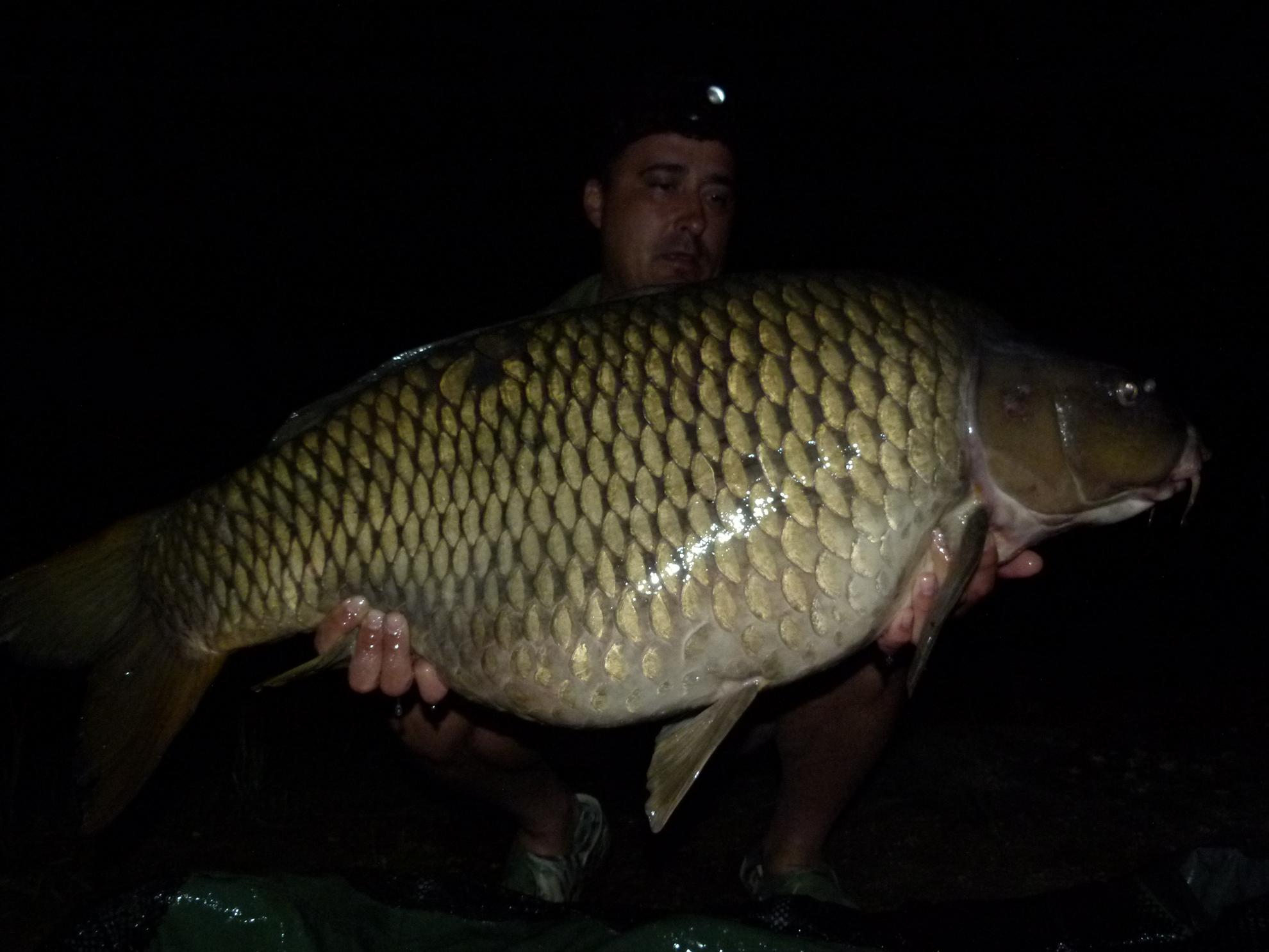 PDB 2013 - 21,500 kg